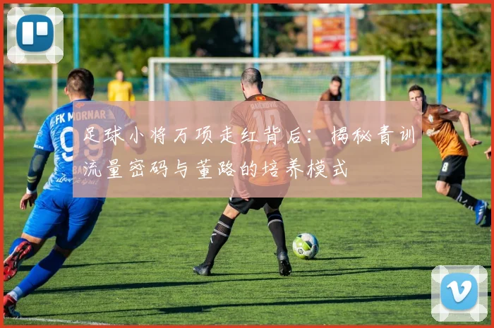 足球小将万项走红背后：揭秘青训流量密码与董路的培养模式