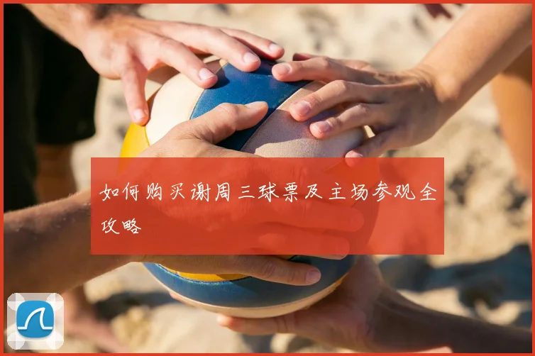 如何购买谢周三球票及主场参观全攻略